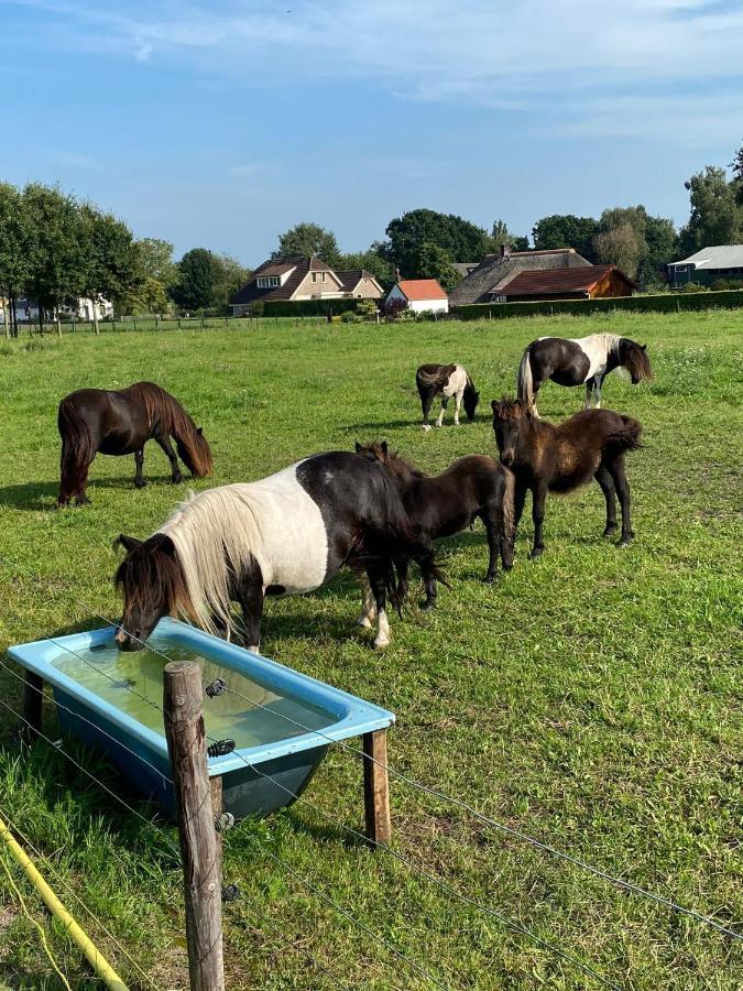 La Vita Veluwe Wapenveld Esterno foto