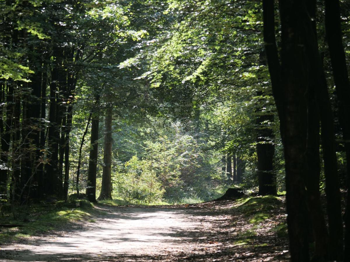 La Vita Veluwe Wapenveld Esterno foto